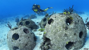 Artificial Reef