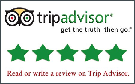 TripAdvisor Reviews